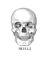 SKULL2.PCX