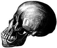 HSKULL3.PCX