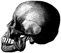 HSKULL2.PCX