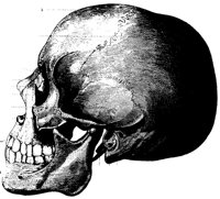 HSKULL1.PCX
