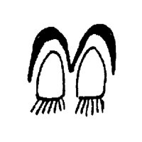 EYES28.PCX