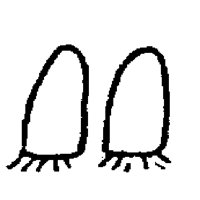 EYES03.PCX