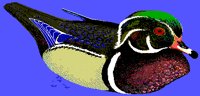 BIRD96.PCX
