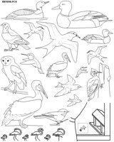 BIRD92.PCX