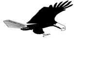 BIRD77.PCX