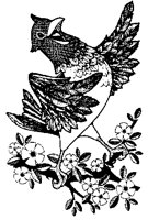 BIRD64.PCX