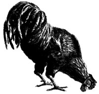 BIRD45.PCX
