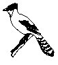 BIRD35.PCX