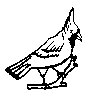 BIRD34.PCX