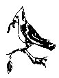 BIRD32.PCX