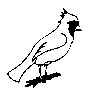 BIRD31.PCX
