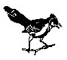 BIRD30.PCX