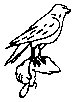 BIRD26.PCX