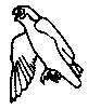 BIRD25.PCX