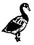 BIRD24.PCX