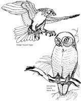 BIRD22.PCX