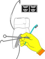 DENTSTRY.WMF