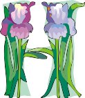 G0455761.wmf
