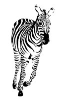 ZEBRA2.PCX
