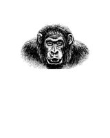 GORILLA1.PCX