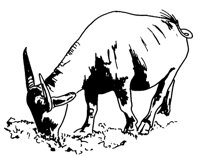 COW.PCX