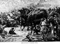 CAMELS.PCX
