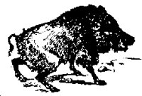 BOAR2.PCX