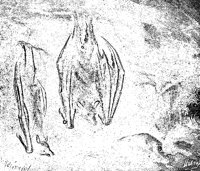 BATS.PCX