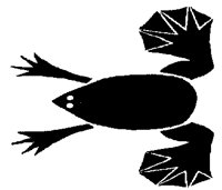 TOAD.PCX