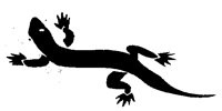 SKINK.PCX