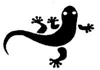GECKO.PCX