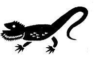 DRAGON.PCX