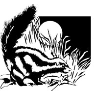 SKUNK01.PCX