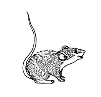 RAT.PCX