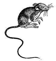 MOUSE4.PCX