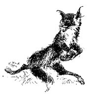 FOX.PCX