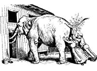 ELEPHAN6.PCX