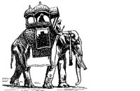ELEPHAN5.PCX