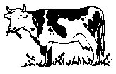 COW3.PCX