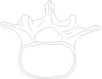 VRTLUMSL.PCX