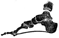 TIBIA.PCX