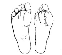 SOLES.PCX