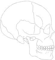 SKULL2LL.PCX