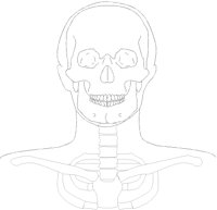 SKULL1AL.PCX