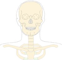 SKULL1AF.PCX