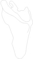 SCPL1LPL.PCX