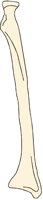 RDUS1LMF.PCX
