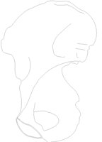 PLVS6RML.PCX