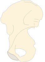 PLVS6RMF.PCX