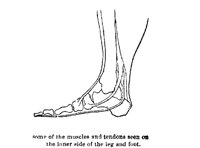 LEGFOOT.PCX